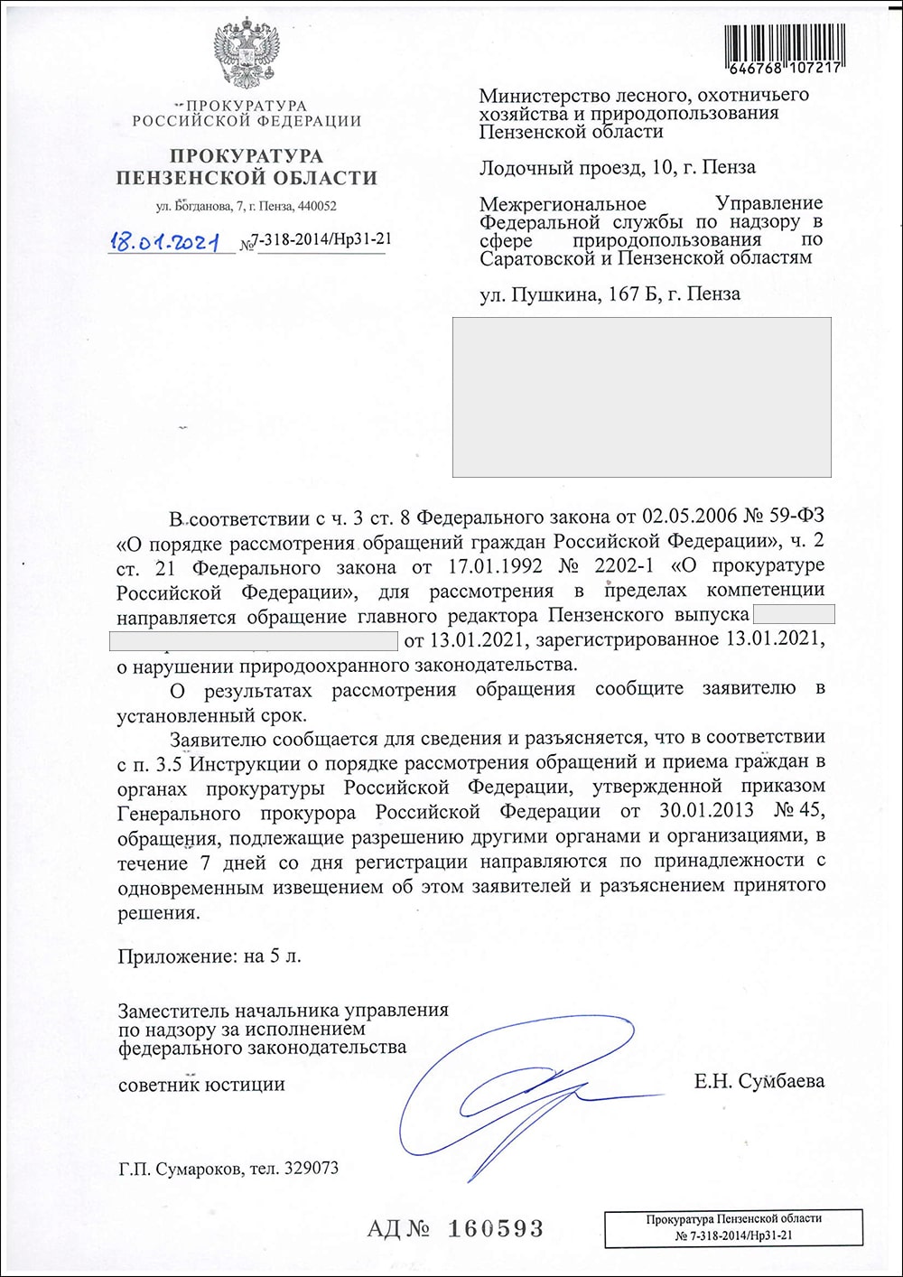 Ахунский дендрарий - реакция прокуратуры Пензенской области